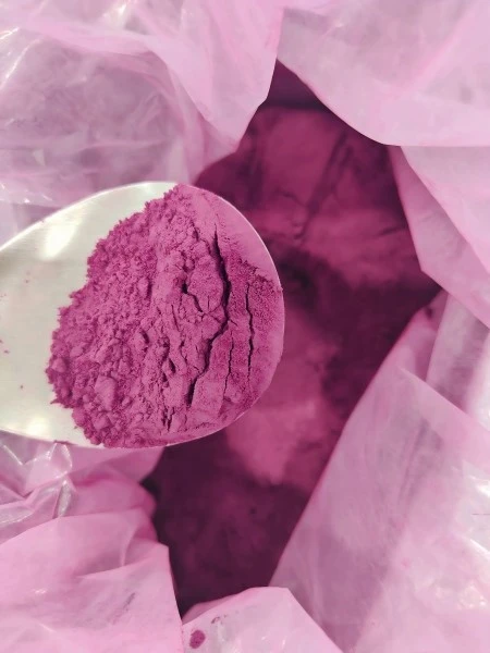 ube1 ube1