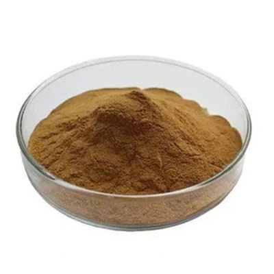 Ginkgo extract2