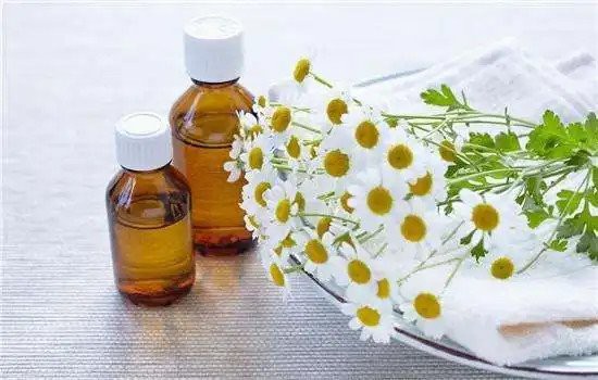 chamomile oil chamomile oil