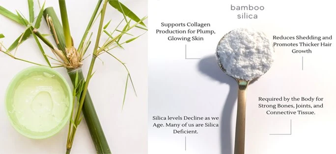 bamboo extract2