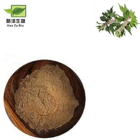 Motherwort ekstrakti kukuni